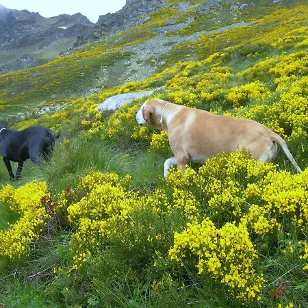 Les Rives De L'ariege Appartement