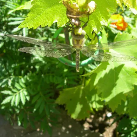 Appartement Les Rives De L'ariege Luzenac