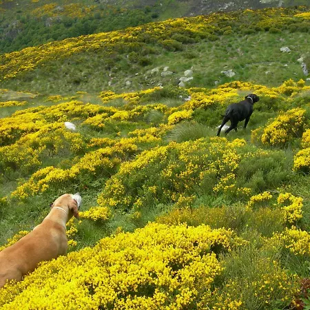 Les Rives De L'ariege * Luzenac