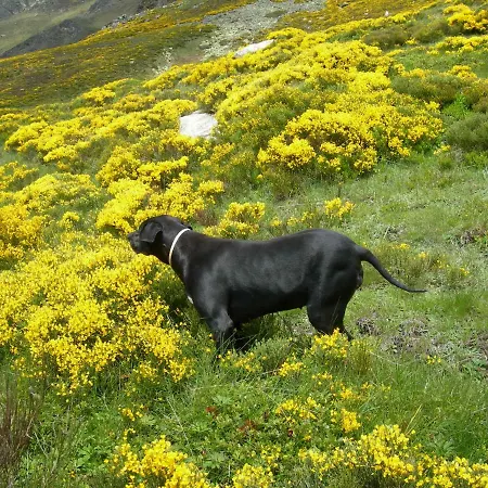 Les Rives De L'ariege