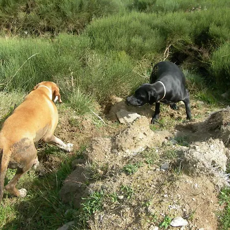 Les Rives De L'ariege *