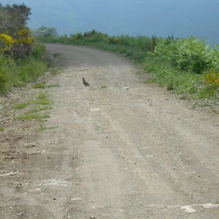 Les Rives De L'ariege Luzenac