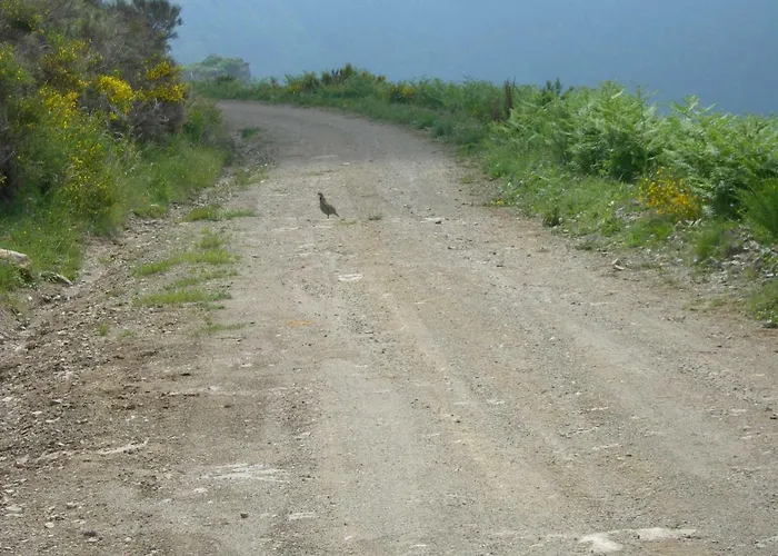 Les Rives De L’ariège Luzenac