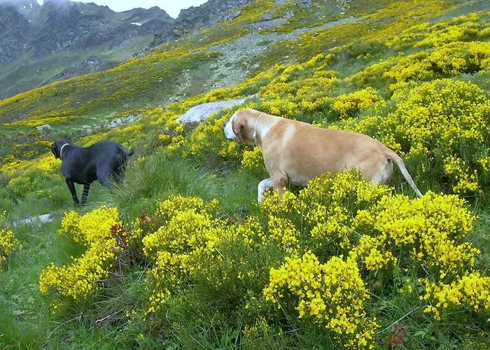 Les Rives De L’ariège Appartamento